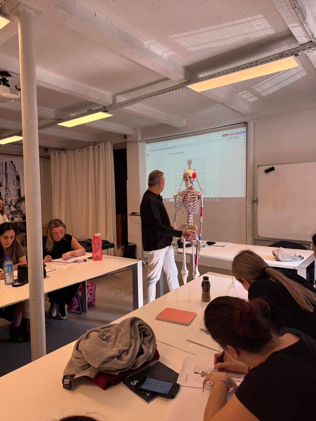 Cours de massothérapie à Bruxelles - Ostéomassage